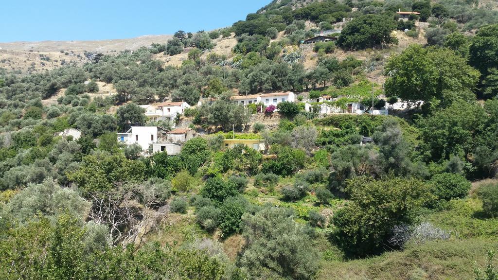 Panorama Apartment Kefálion المظهر الخارجي الصورة